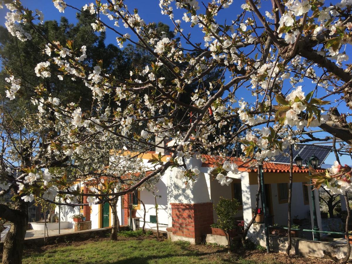 Casas De Campo Em Cerejal Villa Fundão Buitenkant foto